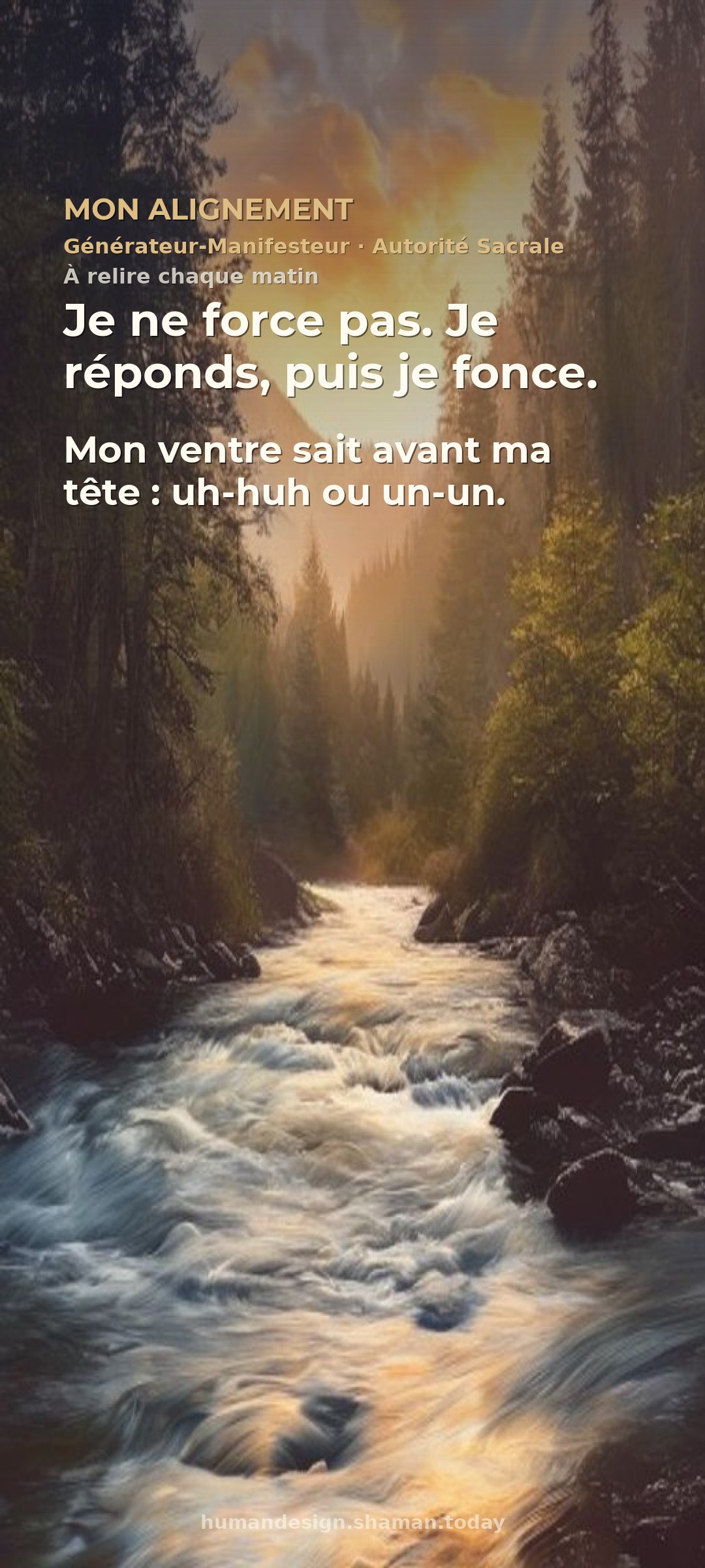 Mon alignement
