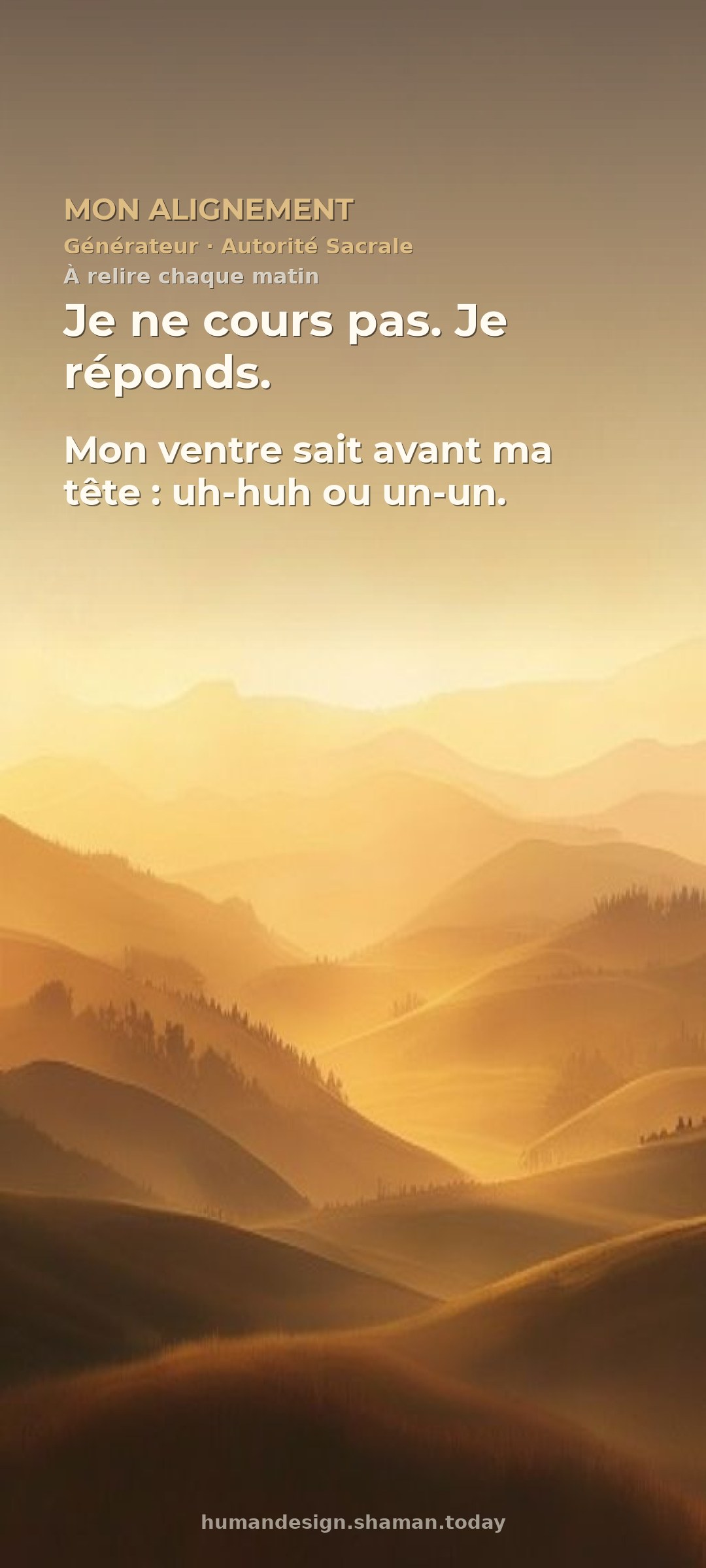 Mon alignement