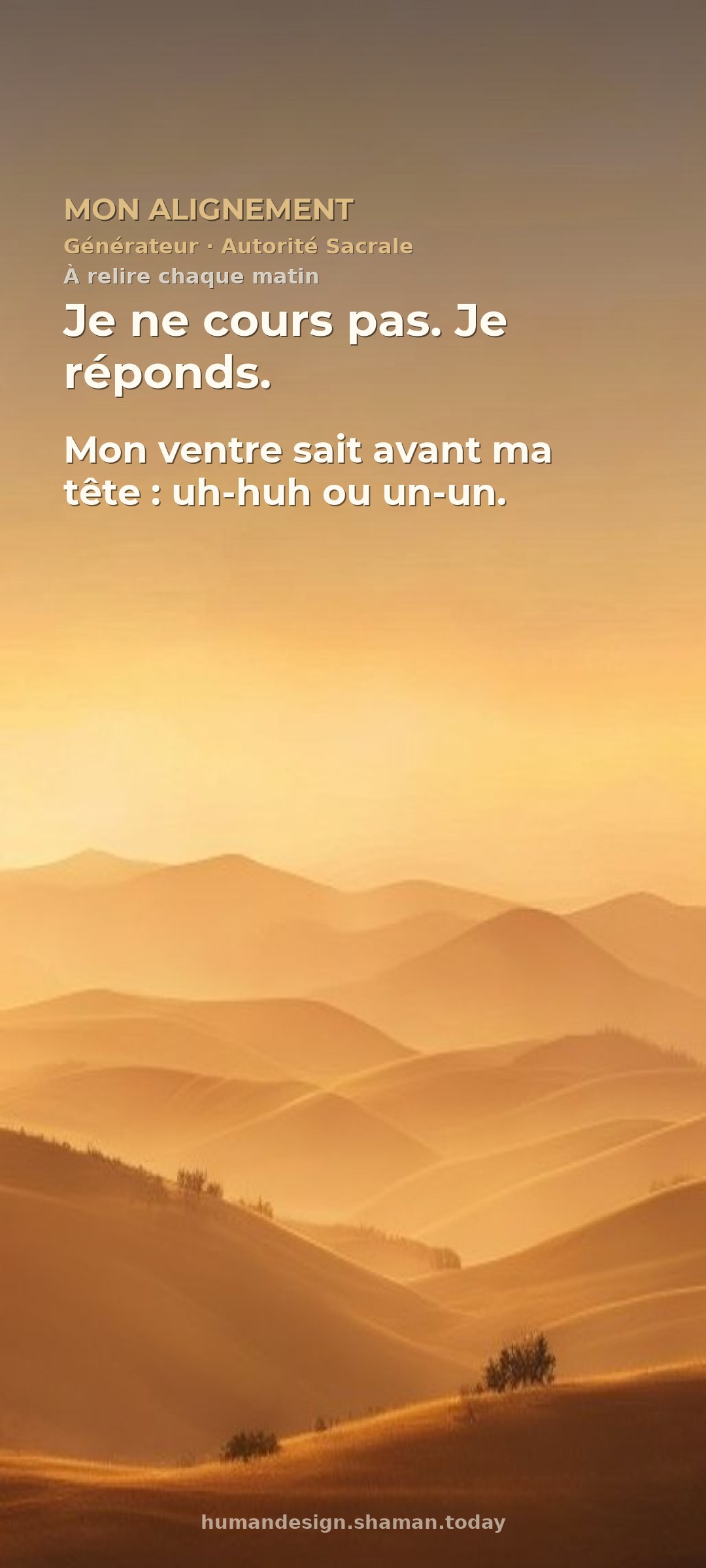 Mon alignement