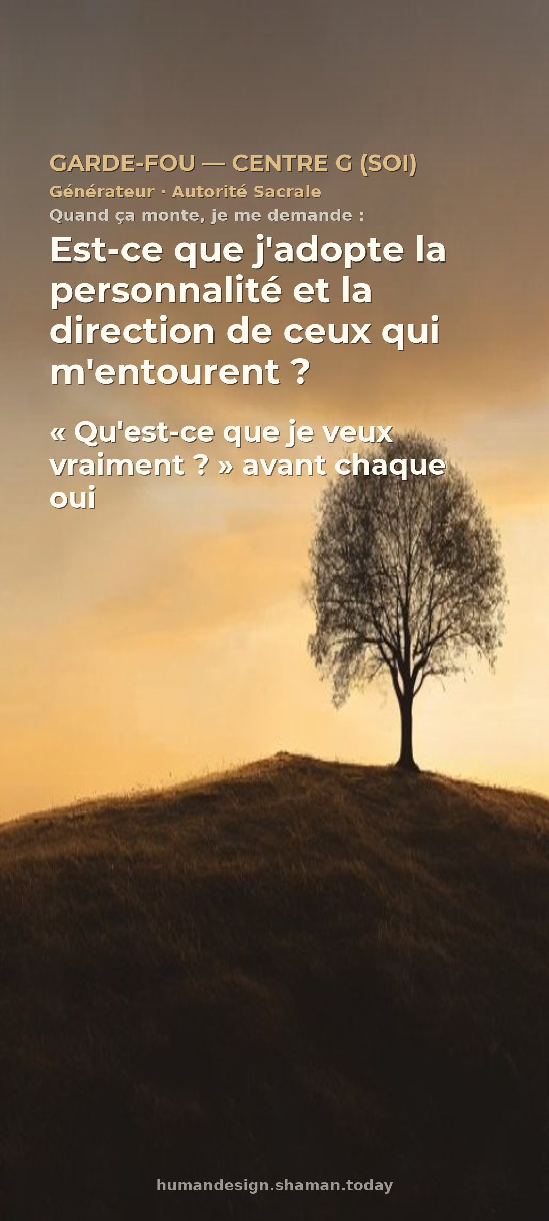Garde-fou — Centre G (Soi)