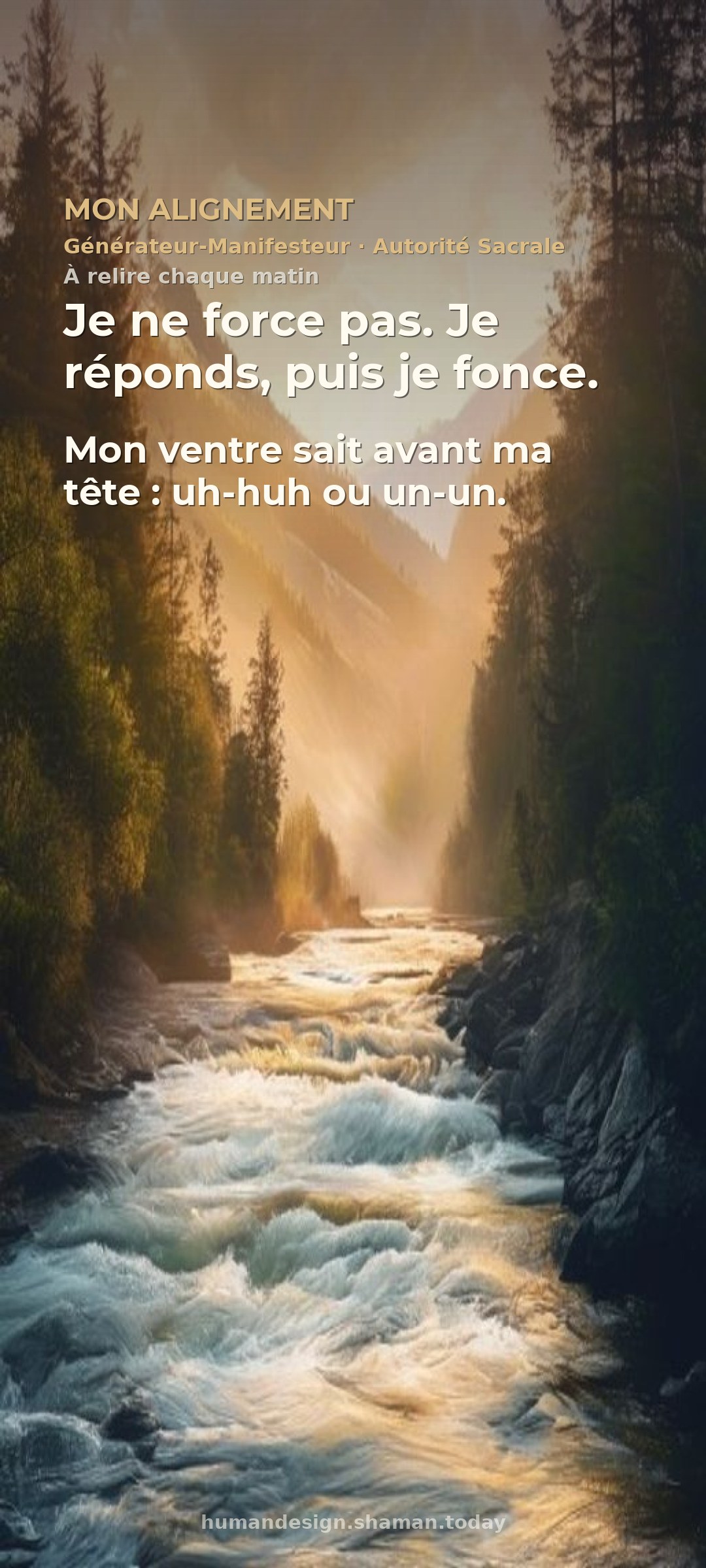 Mon alignement