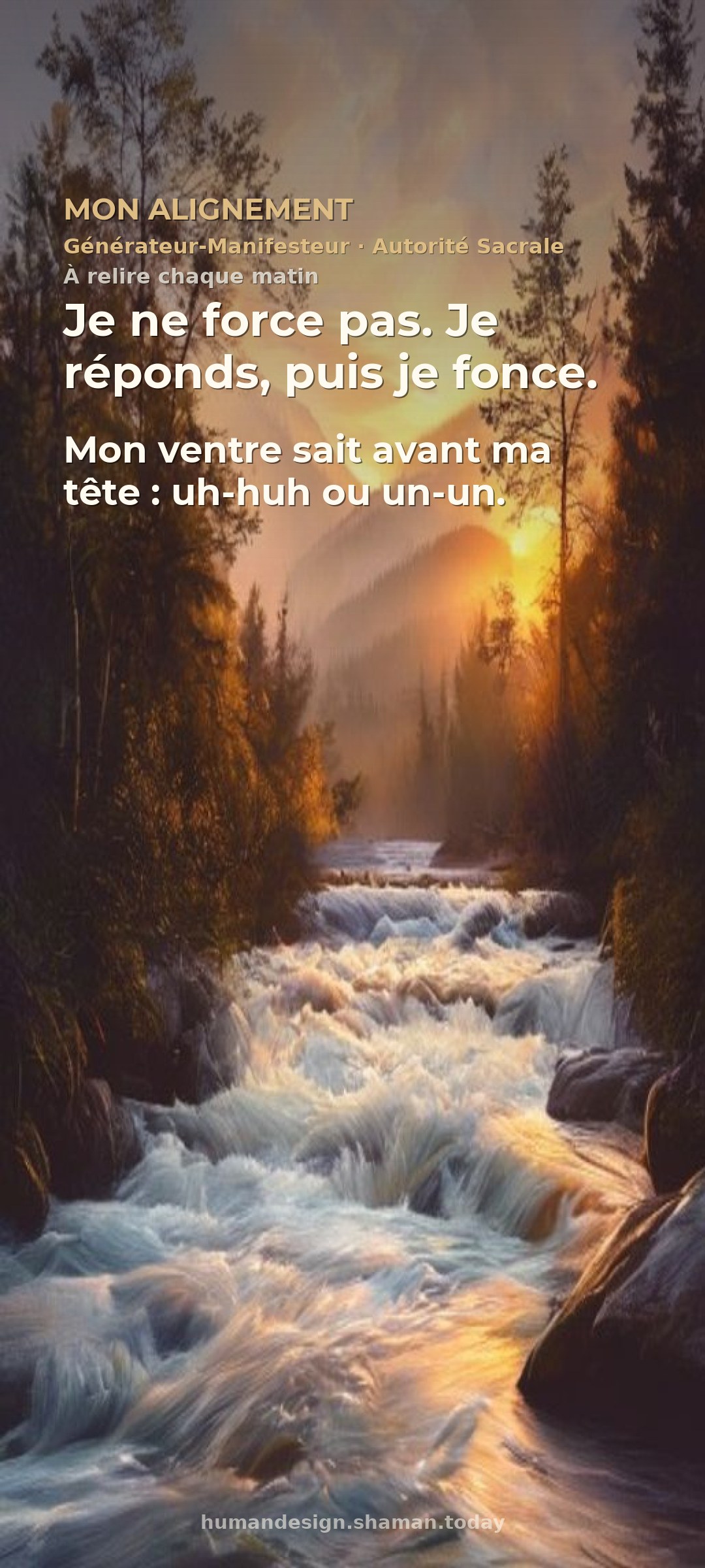 Mon alignement